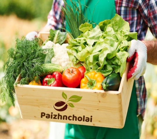 Paizhncholai - about